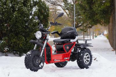 Daymak Mobility Scooter With Dual Motors In Red - Boomerbeast 2 D (R)