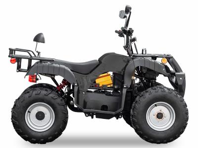 Daymak Front And Rear Wheeled Electric ATV In Black - Beast AWD ATV (B)