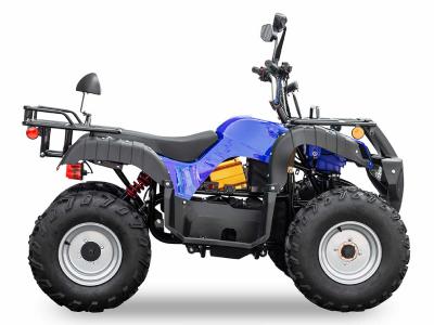 Daymak Front And Rear Wheeled Electric ATV In Blue - Beast AWD ATV (BL)