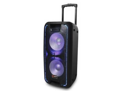 Quantum Audio Dual 10 Inch Portable Speaker System - QDJ210WP