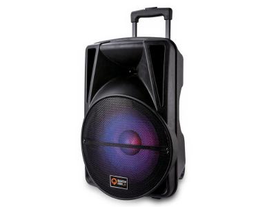 Quantum Audio 12 Inch Portable Speaker System - QDJ12WP