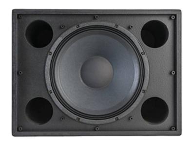Klipsch 12 Inch Commercial Monitor Multi Angle Subwoofer - K115WII
