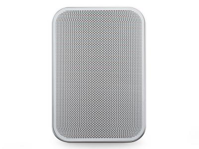 Bluesound Portable Wireless Multi-Room Music Streaming Speaker - PULSE FLEX 2i (W)