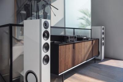 Definitive Technology Demand Series High-Performance 3-Way Tower Speaker With 10 Inch Passive Bass Radiators - D17 Left (W)