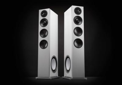 Definitive Technology Demand Series High-Performance 3-Way Tower Speaker With 10 Inch Passive Bass Radiators - D17 Left (W)