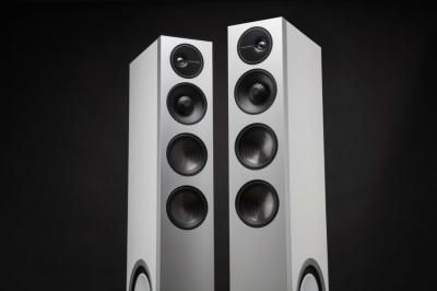 Definitive Technology Demand Series High-Performance 3-Way Tower Speaker With 10 Inch Passive Bass Radiators - D17 Left (W)