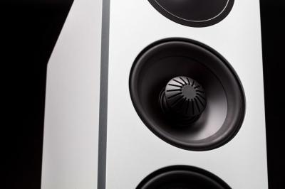 Definitive Technology Demand Series High-Performance 3-Way Tower Speaker With 10 Inch Passive Bass Radiators - D17 Left (W)
