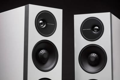Definitive Technology Demand Series High-Performance 3-Way Tower Speaker With 10 Inch Passive Bass Radiators - D17 Left (W)