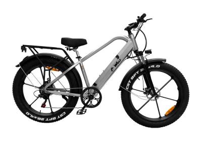 Daymak Fat Tire Electric Bike in Silver  - WOLF (S)