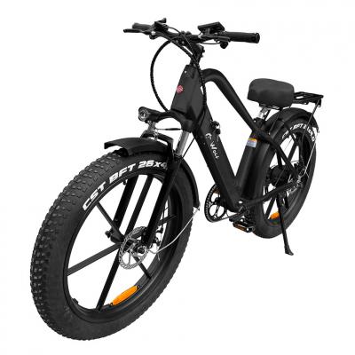 Daymak Fat Tire Electric Bike in Black - WOLF (B)