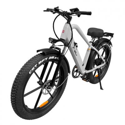 Daymak Fat Tire Electric Bike in White - WOLF (W)