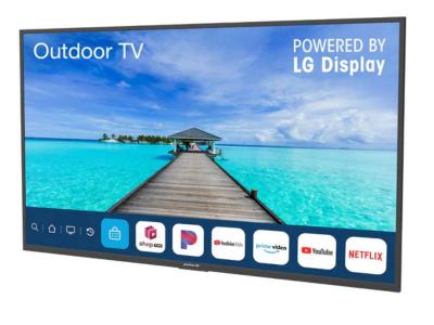 55" Peerless-AV NT553 Neptune Partial Sun Outdoor Smart TV