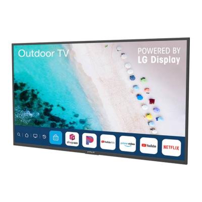 55" Peerless-AV NT553 Neptune Partial Sun Outdoor Smart TV