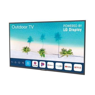 55" Peerless-AV NT553 Neptune Partial Sun Outdoor Smart TV