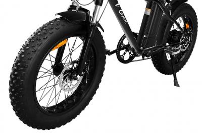 Daymak 48V Fat Tire Electric Bicycle in Black - Coyote (B)