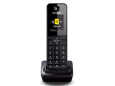 Panasonic Additional Cordless Handset - KXPRLA20B