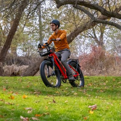 Daymak Wild Goose S Fat Tire E-Bike  - Wild Goose S (R)