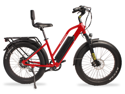 Daymak Wild Goose S Fat Tire E-Bike - Wild Goose S (R)
