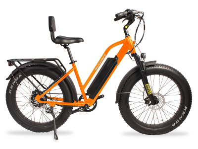 Daymak Wild Goose S Fat Tire E-Bike  - Wild Goose S (O)