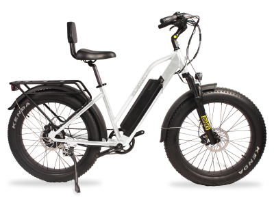 Daymak Wild Goose S Fat Tire E-Bike  - Wild Goose S (W)