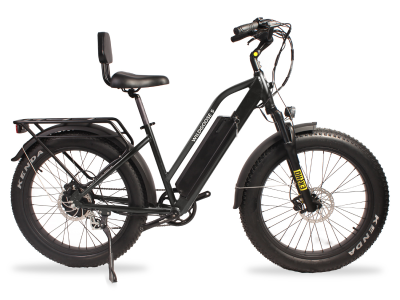 Daymak Wild Goose S Fat Tire E-Bike - Wild Goose S (B)