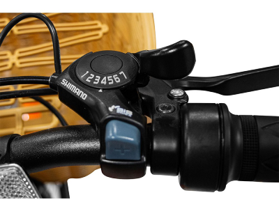 Daymak Paris 48V Electric Bike - Paris 48V (G)