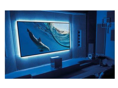 EluneVision 110" 16:9 Aurora NanoEdge ALR 4K Fixed-Frame Screen - EV-ZL-110-1.3