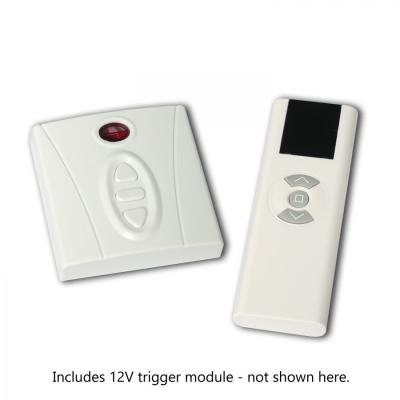EluneVision 106" 16:9 In Ceiling Motorized Screen- EV-IC-106-1.2