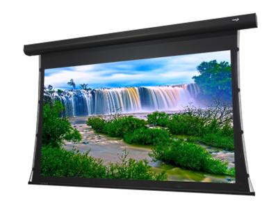 EluneVision 120" 16:9 Ref.4K Acoustic Weave Tab Tension Motorzied Screen EV-T3AW-120-1.15