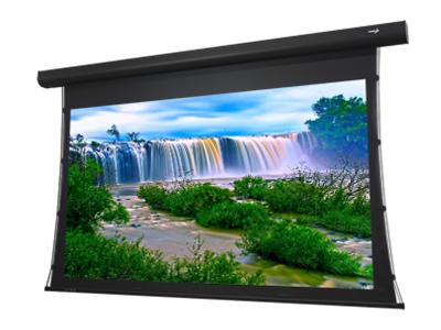EluneVision 112" 16:9 Ref.4K Acoustic Weave Tab Tension Motorzied Screen EV-T3AW-112-1.15