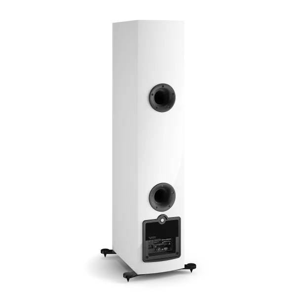 DALI Wireless Active Hi-fi Floor Standing Speaker - RUBICON 6 C (W)