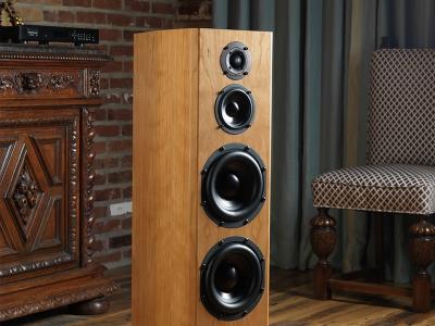 Bryston Loudspeaker - Middle T Active