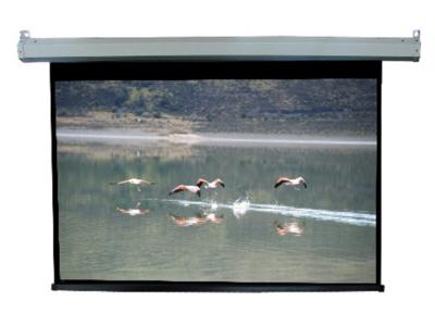 Daveco Motorized Projection Screen - DEG106