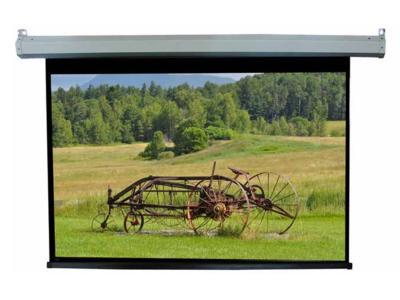 Daveco Pull Down Projection Screen - DMG092