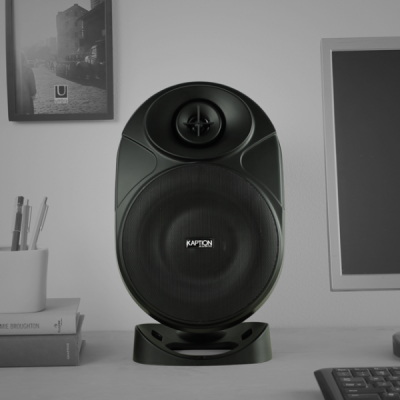 Kaption Audio 6.5 Inch Indoor/Outdoor Weather Resistant Speakers In Black - 570-OS650BK