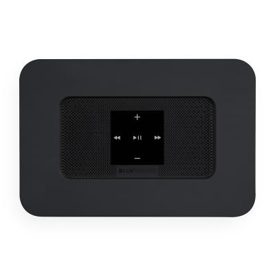 Bluesound Wireless Multi-Room Hi-Res Music Streamer - NODE 2i (B)