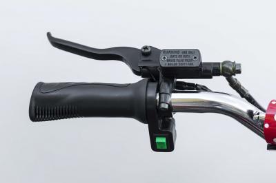 Daymak Electirc Dirt Bike With Bluetooth Controller In Red - Mini Pithog (R)