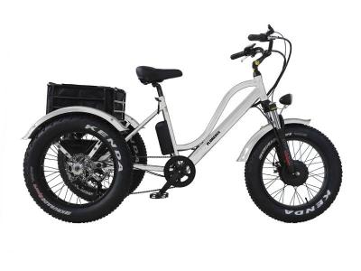 Daymak 500W Florence Fat Tire Ebike in White -Florence Fat Tire (W)