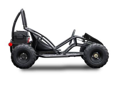 Daymak 1000W, 48V  Offroad Dune Buggies in Black - Dune Buggy JR (B)