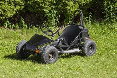 Daymak 1000W, 48V  Offroad Dune Buggies in Black - Dune Buggy JR (B)