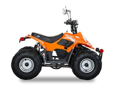 Daymak 800 W Electric Atv in Orange - GRUNT (O)