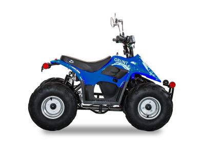 Daymak 800 W Electric Atv in Blue - GRUNT (Bl)