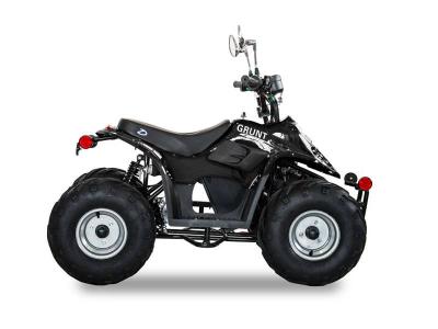 Daymak 800 W Electric Atv in Black - GRUNT (B)