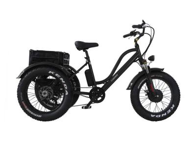 Daymak 500W Florence Fat Tire Ebike in Black -Florence Fat Tire (B)