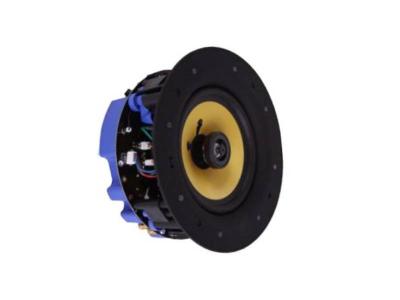 Omage Low Profile In-Ceiling Custom Wi-Fi Speaker - Q6WF