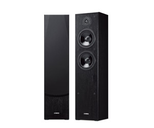 Floor Standing Speakers